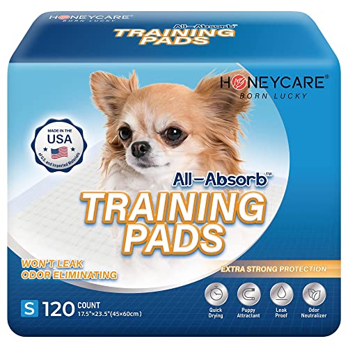 Best Pee Pads For Senior Dogs (2024 Update) Diy Happy