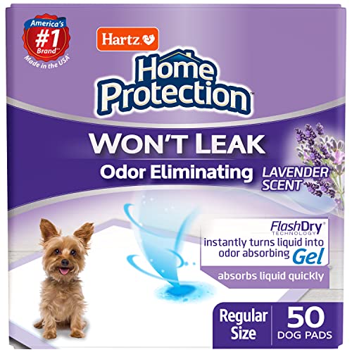 Best Pee Pads For Senior Dogs (2024 Update) Diy Happy