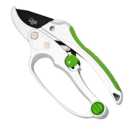 Best Pruners For Arthritic Hands (2024 Update) Diy Happy