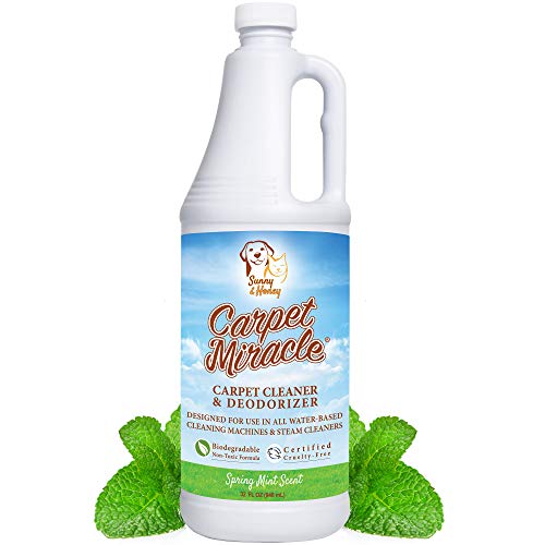 Best Cleaner For Dog Pee On Carpet (2024 Update) Diy Happy