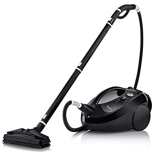 Best Steam Cleaners For Bed Bugs (2024 Update) Diy Happy