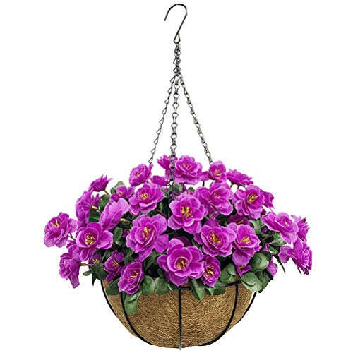 Best Hanging Baskets For Full Sun (2023 Update) Diy Happy