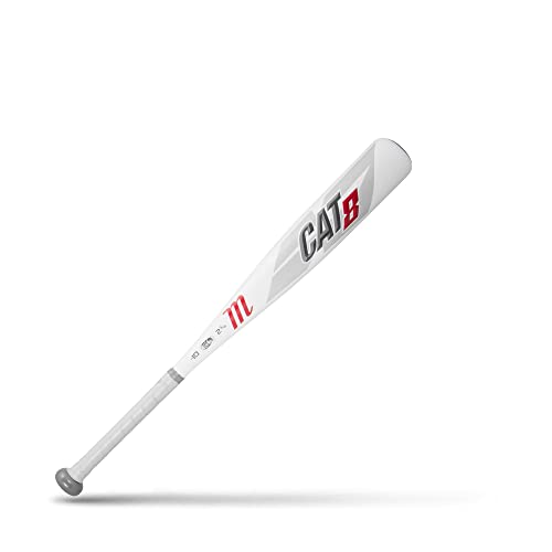Best Bats For 10U Baseball (2024 Update) Diy Happy