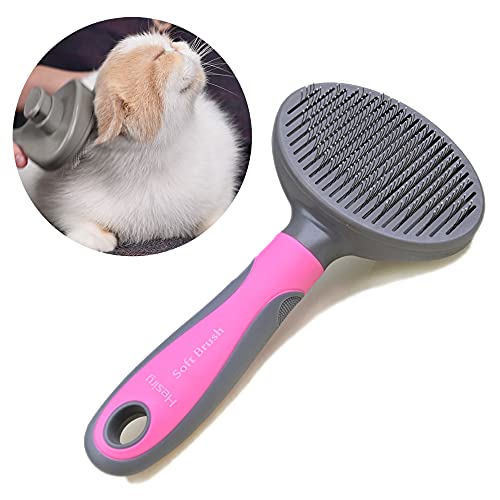 Best Brush For Persian Cats (2024 Update) Diy Happy