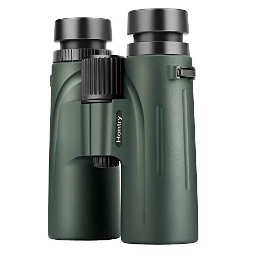 Best Budget Binoculars For Birding (2024 Update) Diy Happy