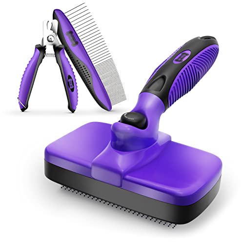 Best Brush For Husky Dogs (2024 Update) Diy Happy