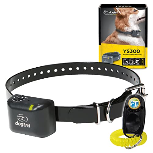 Best Bark Collars For Medium Dogs (2024 Update) Diy Happy