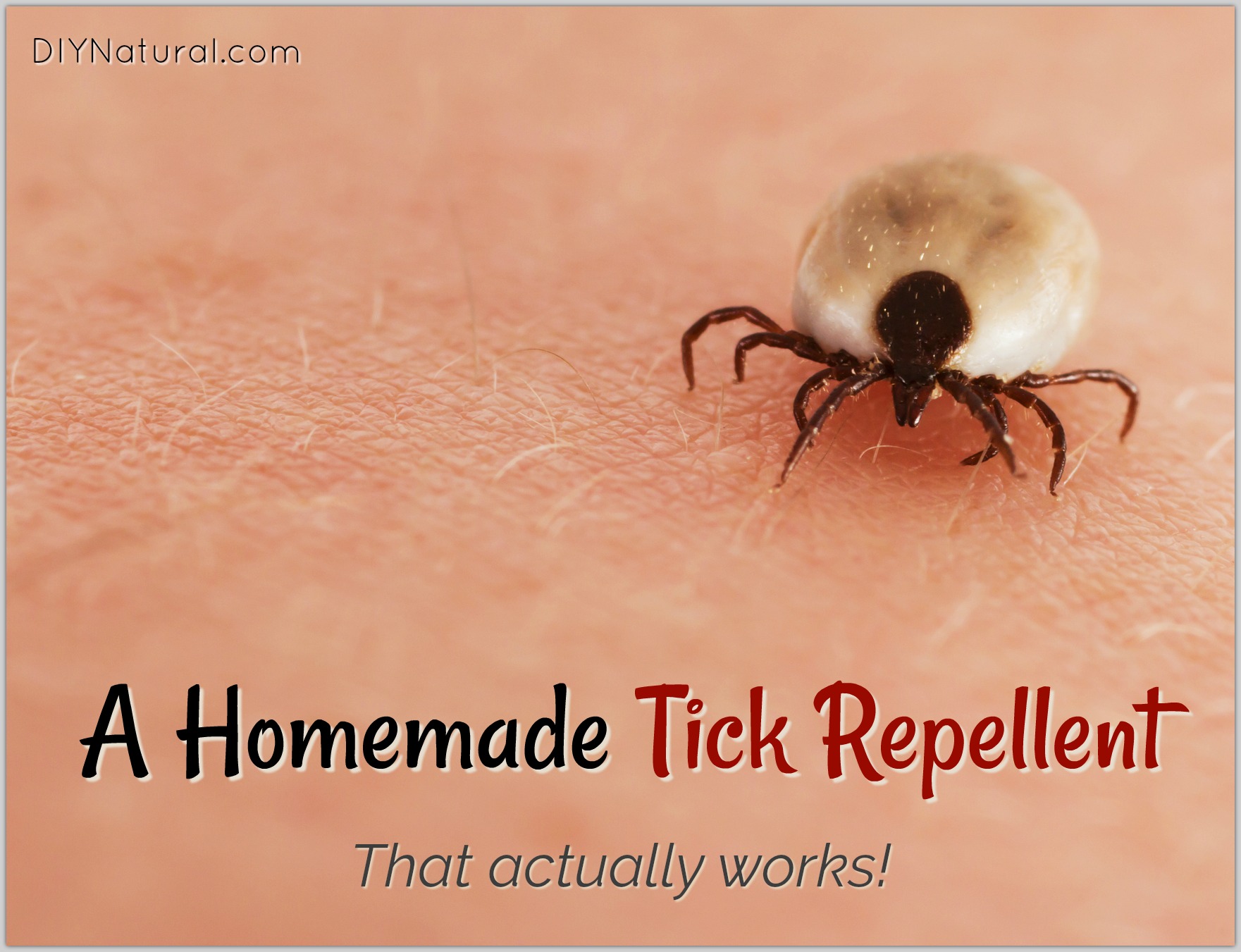 Homemade Tick Repellent Spray That Works and Is Backed By