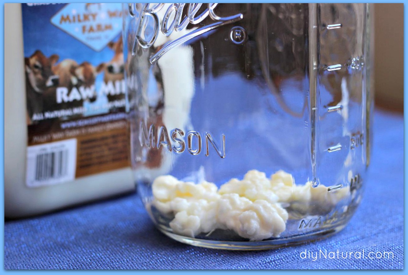 How to Make Kefir with Probiotic Benefits