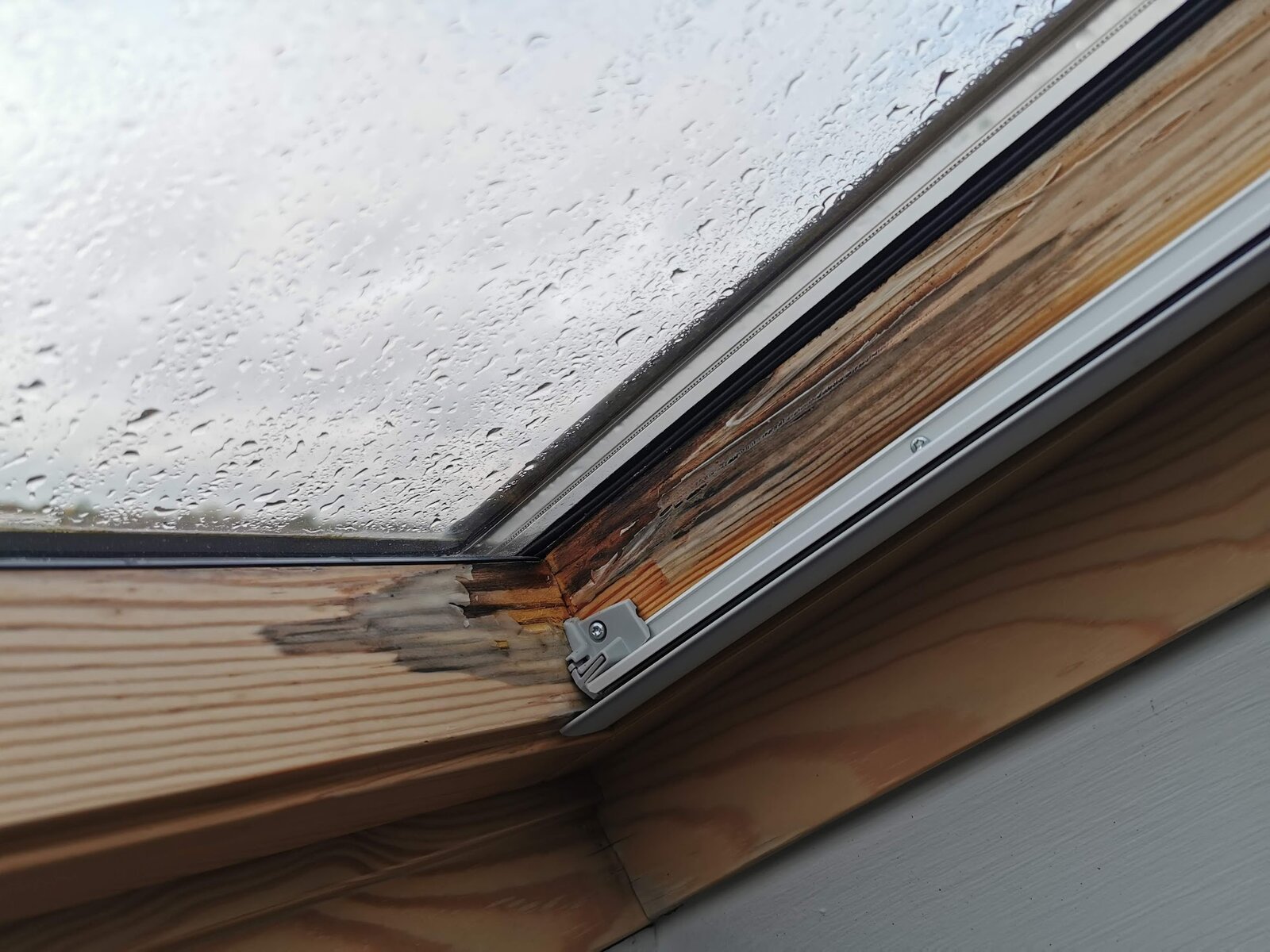 Mould On Velux Window Frames
