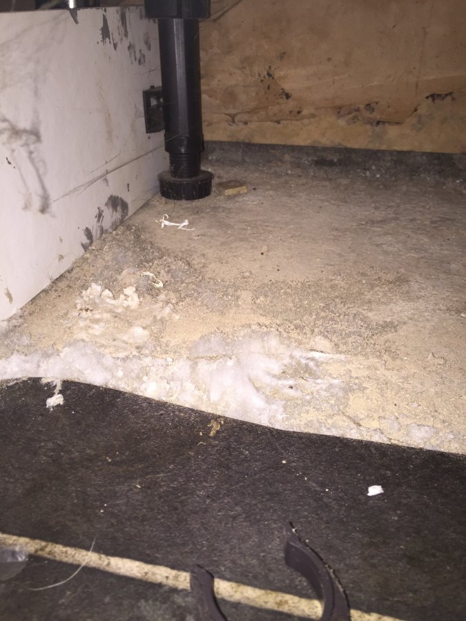 Damp in gable end. Damp walls and floor DIYnot Forums