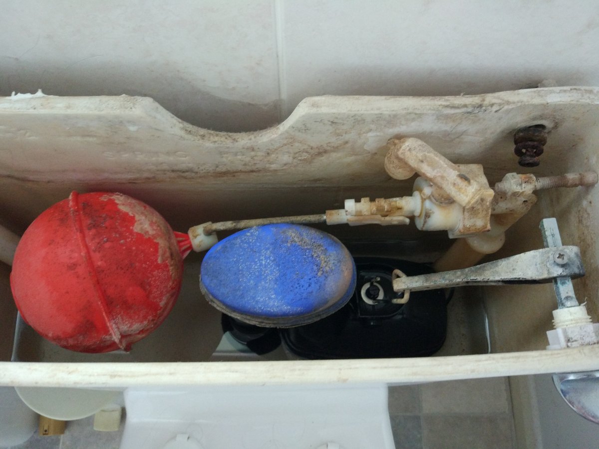 Fog Horn Toilet DIYnot Forums