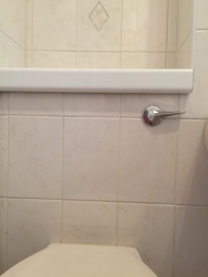 Replacing Toilet Cistern Syphon Toilet Surgery