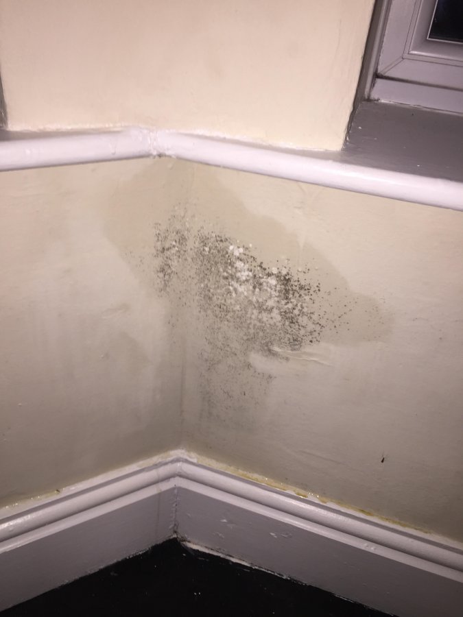 Condensation or Damp??? DIYnot Forums