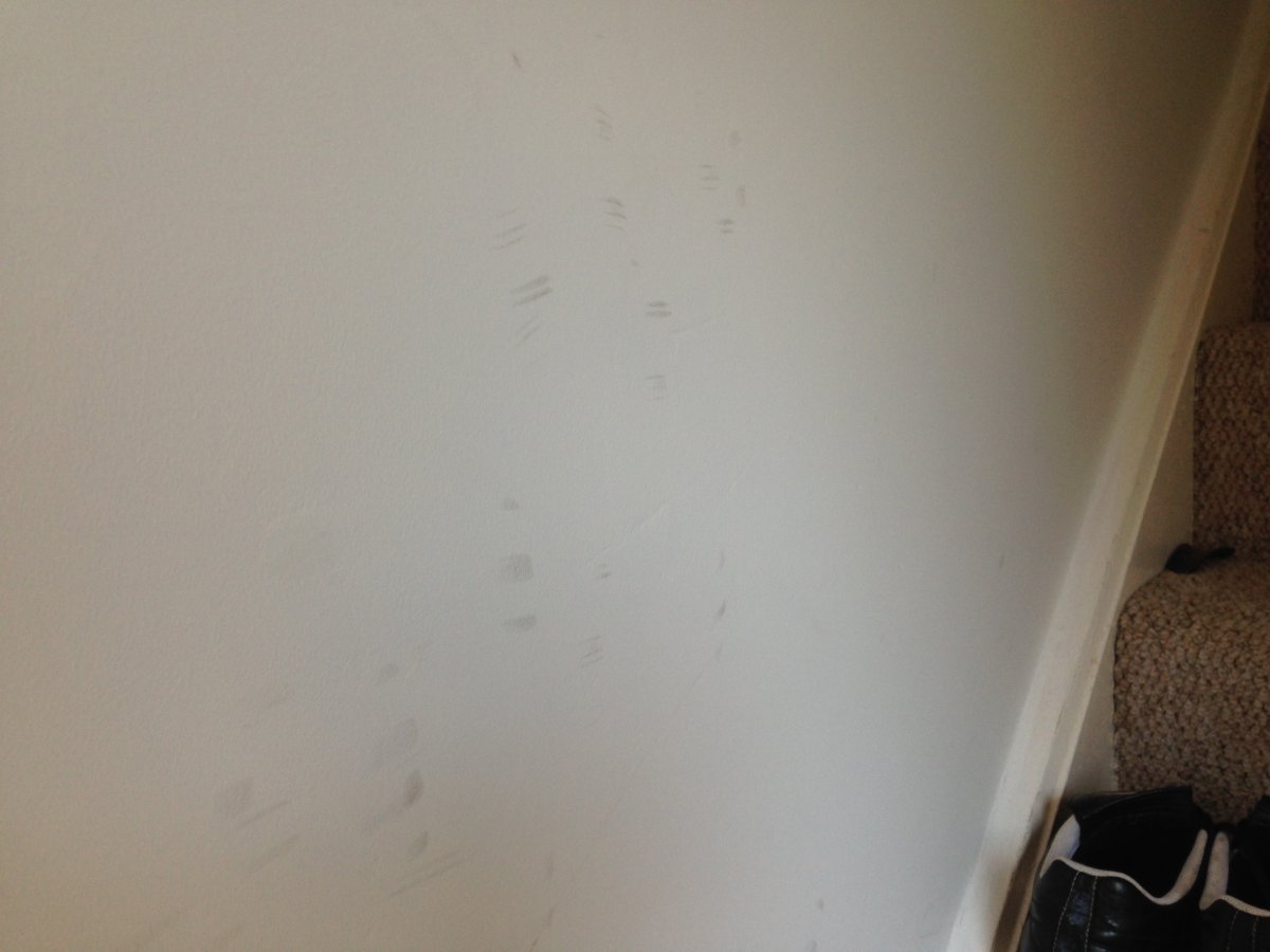 Vinyl matt paint at B&M Stores. DIYnot Forums