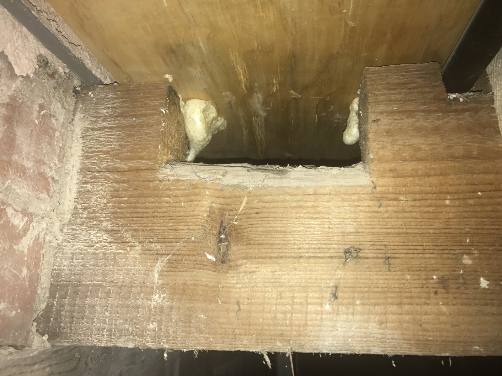 Can Floor Joists Be Notched Viewfloor.co