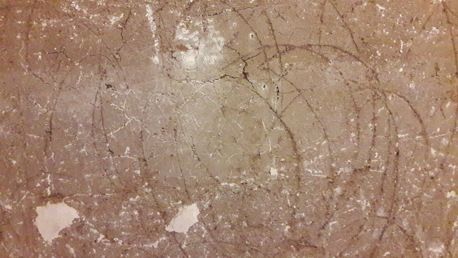 Remove Horsehair Plaster? DIYnot Forums