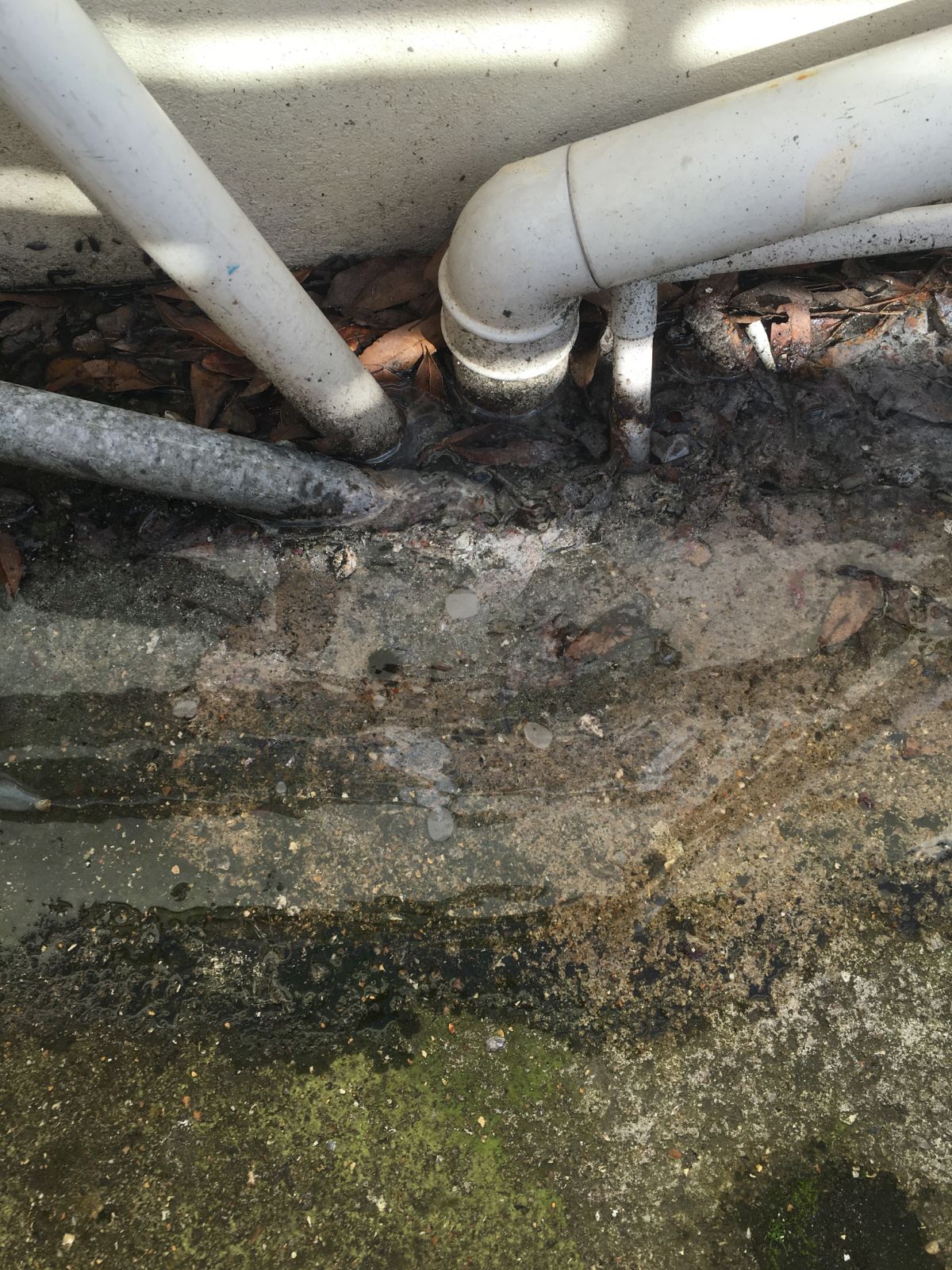 Drain is overflowing from kitchen DIYnot Forums