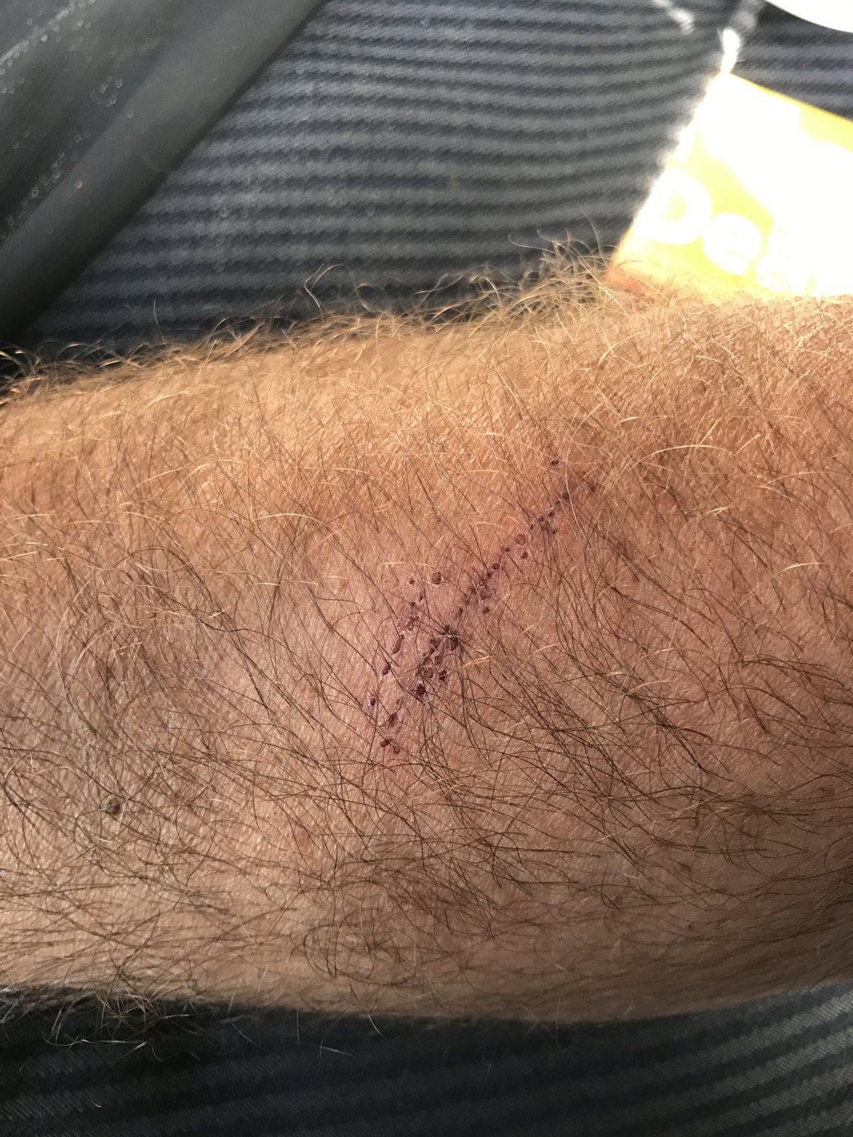 Is it just me....? DIYnot Forums