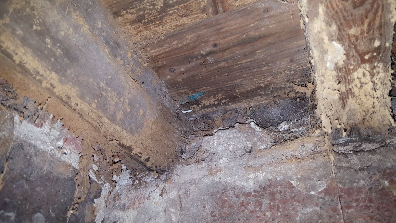 Is this dry rot? DIYnot Forums