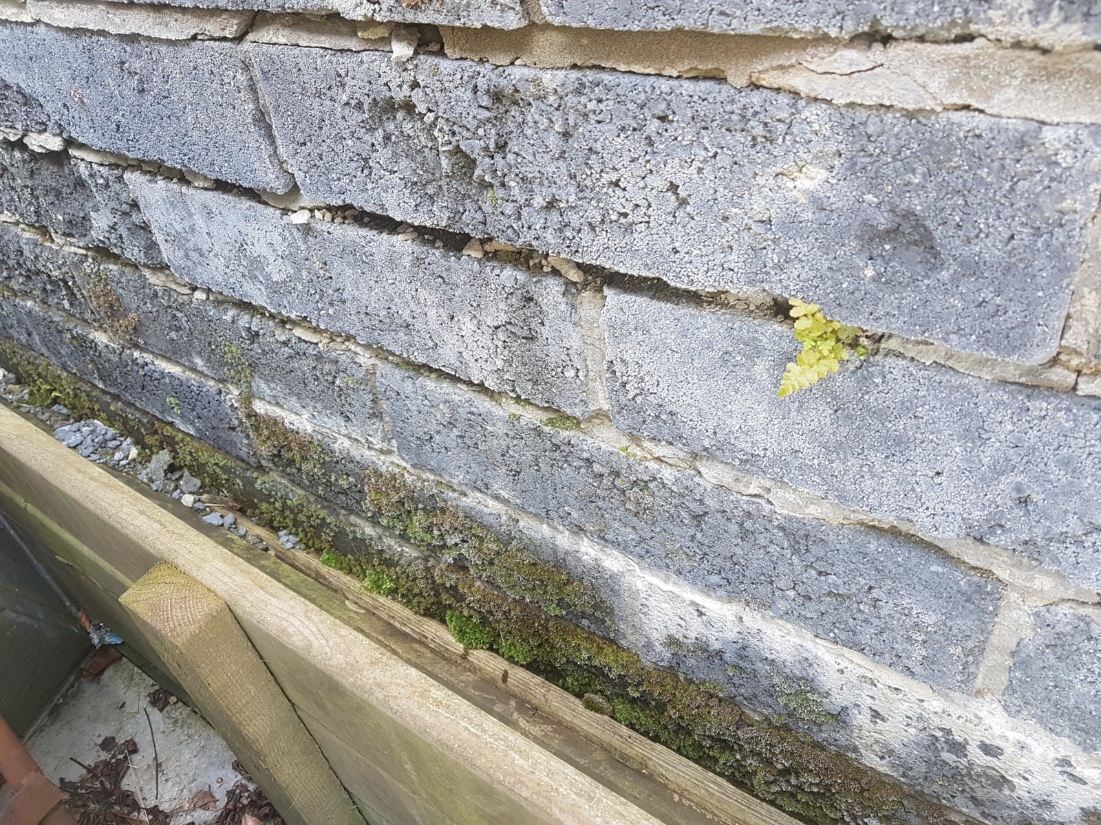 Render over damp blockwork or what ? DIYnot Forums