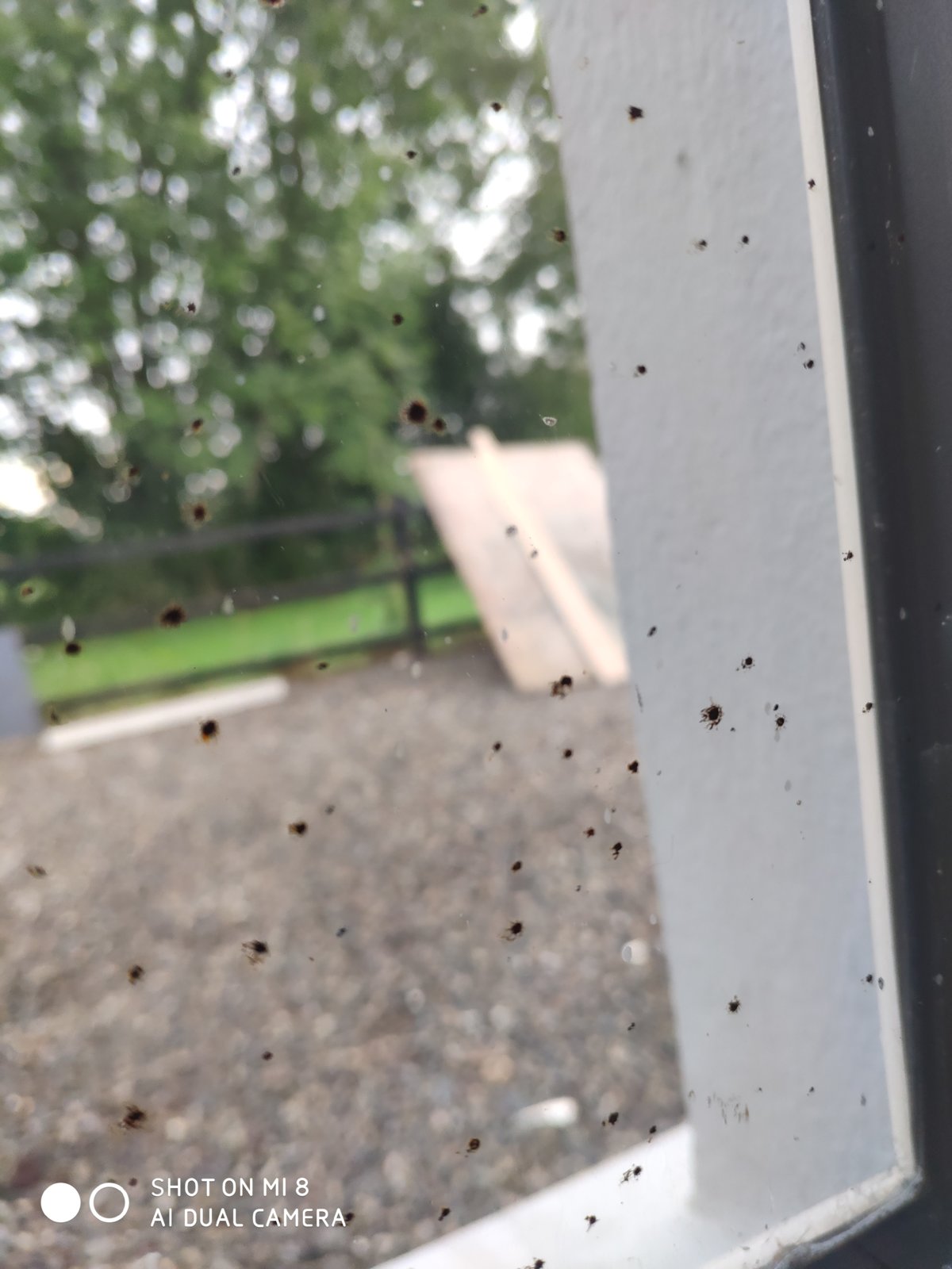Brown/Red dots on window after renovation? DIYnot Forums