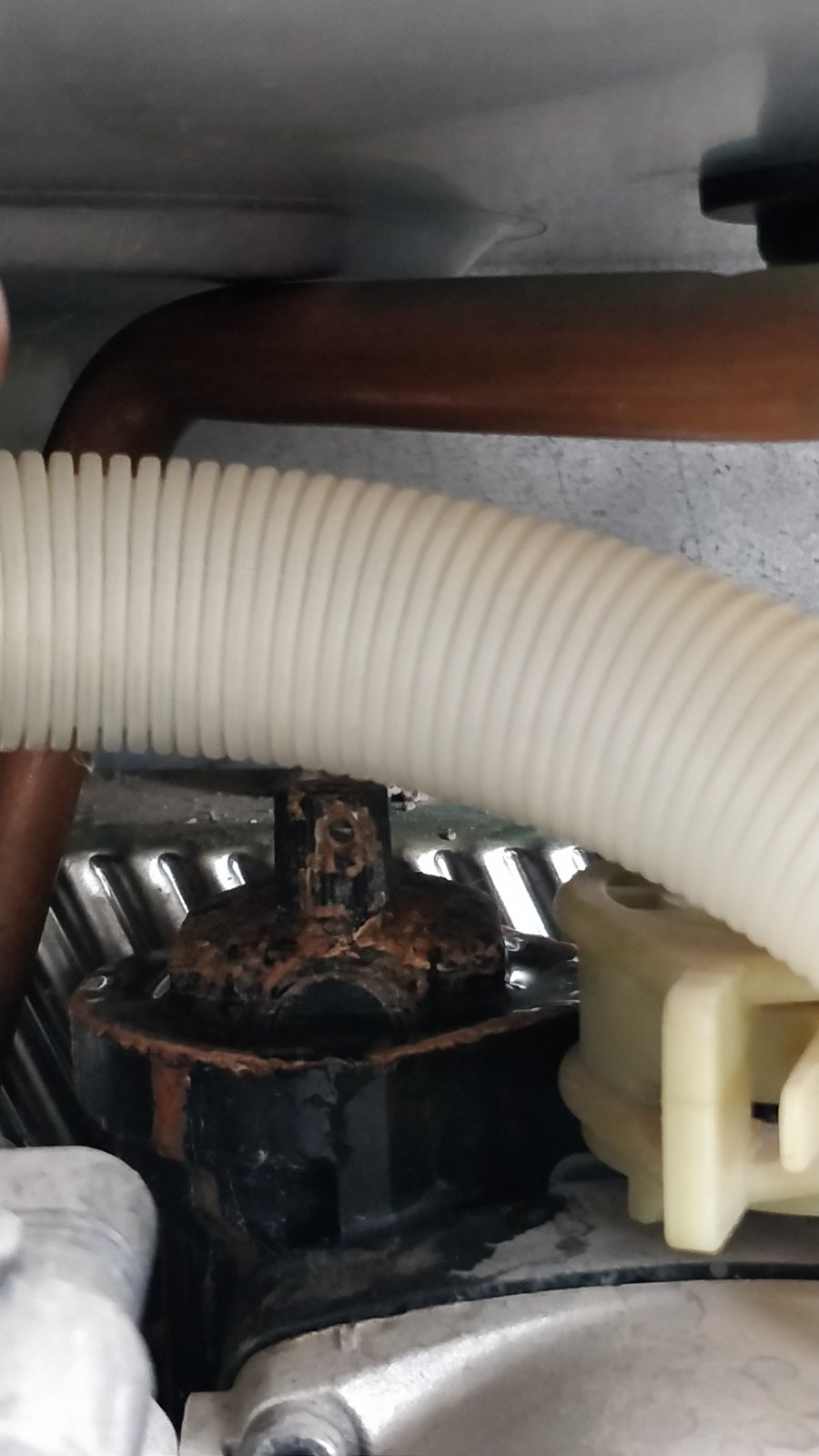 Boiler leaking DIYnot Forums