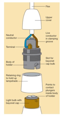 Bulb Holder Wiring Diagram