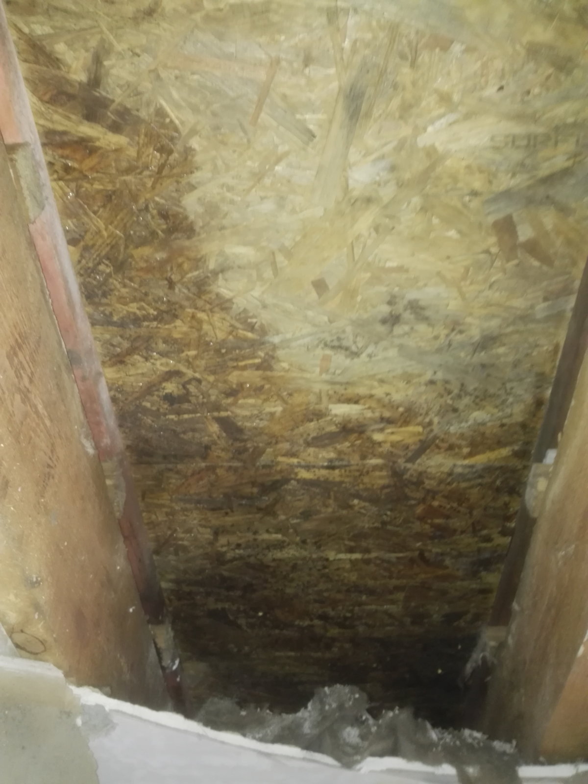 Damp flat roof DIYnot Forums