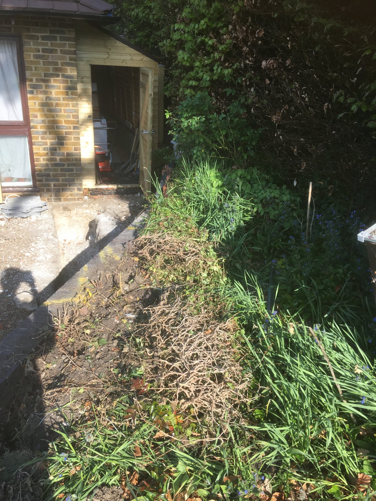 Excavating near hedge roots. DIYnot Forums