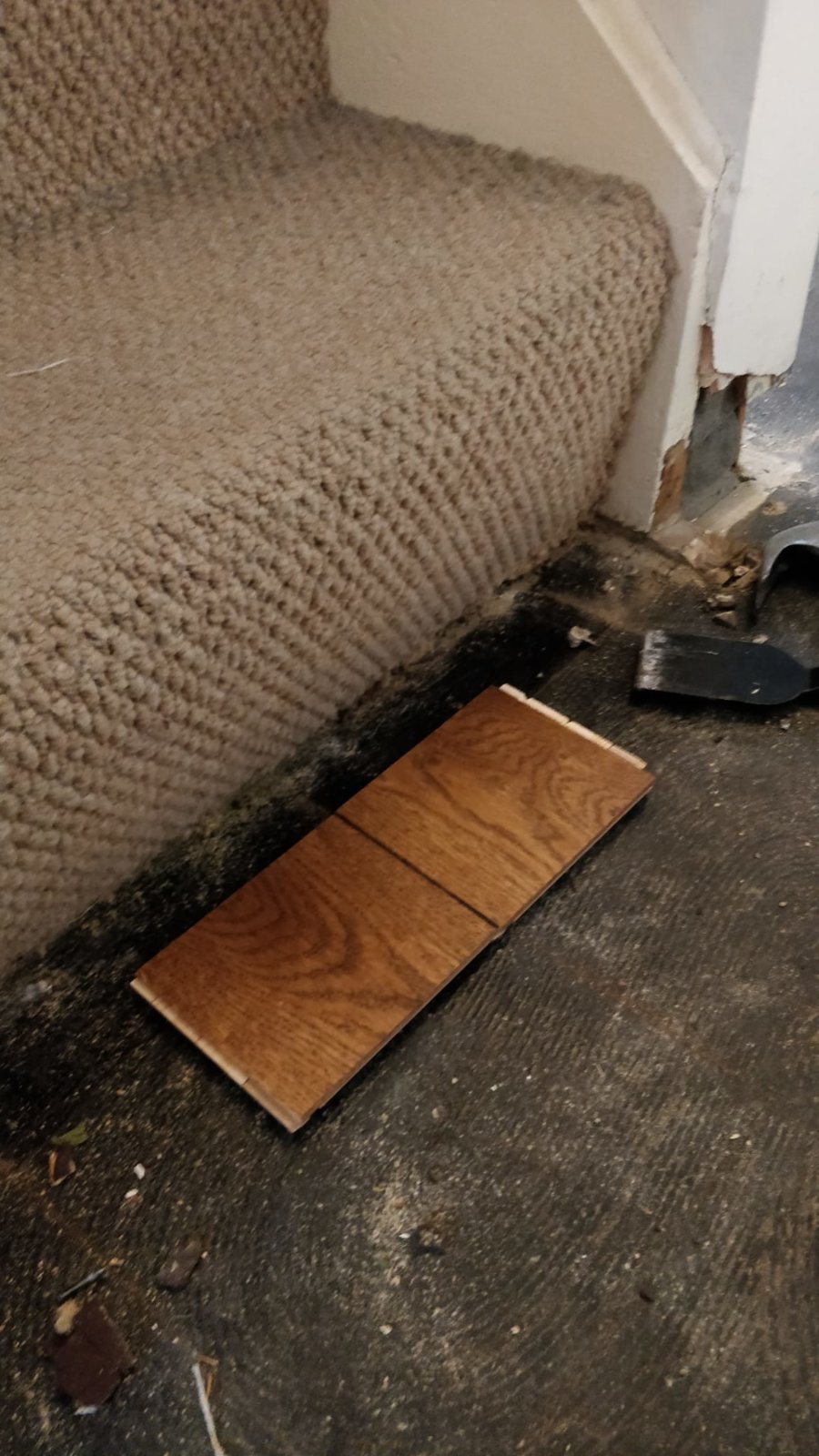 Laminate Flooring Transition To Carpet Stairs Flooring Site