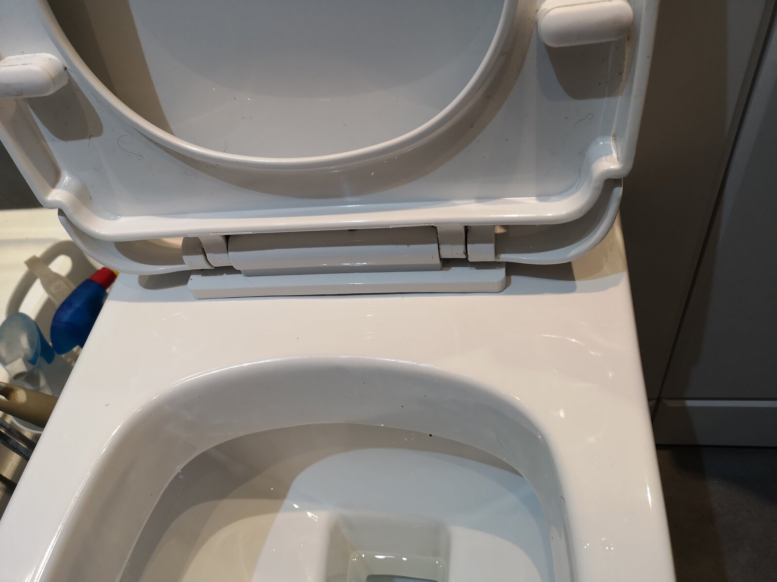 Toilet seat hidden fixings DIYnot Forums