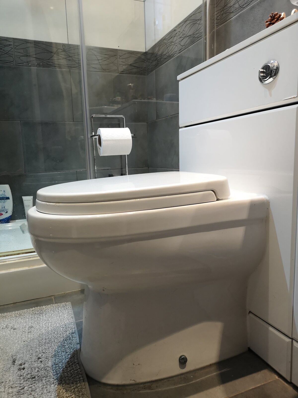 Principal 125+ imagen how to remove toilet seat with hidden fixings