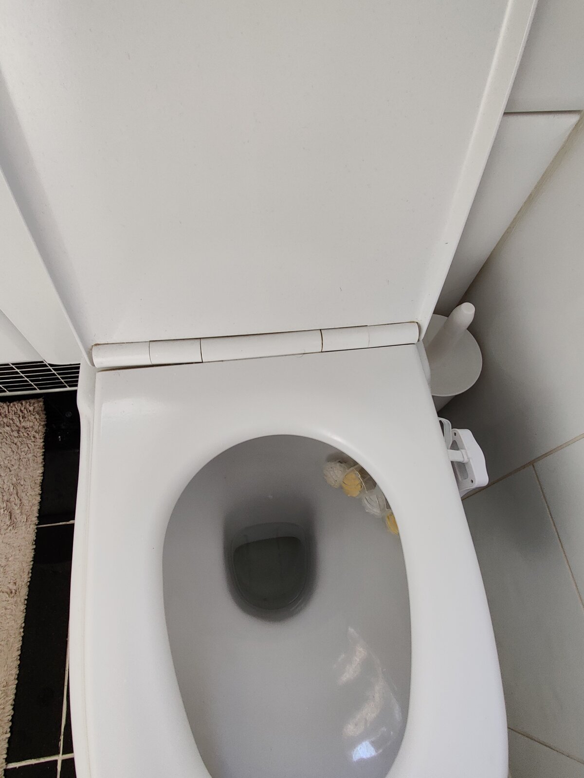 Anyone know how I can remove this toilet seat? DIYnot Forums