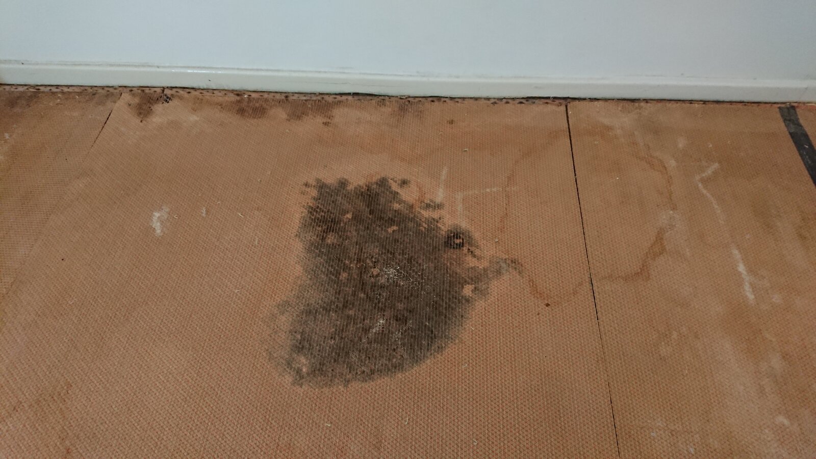 Damp floor DIYnot Forums