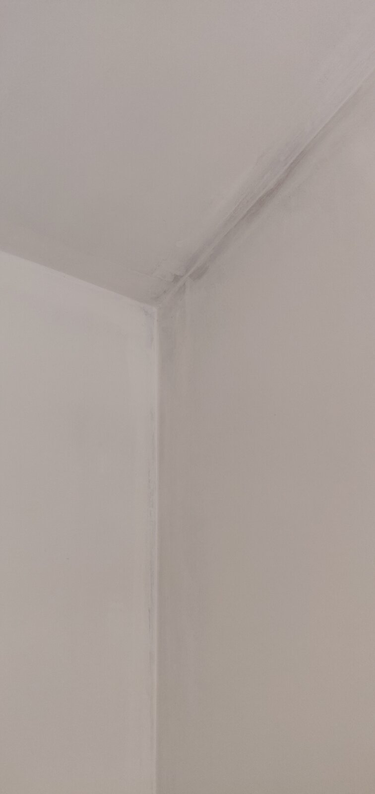 New plaster, paint won't take on a few spots DIYnot Forums