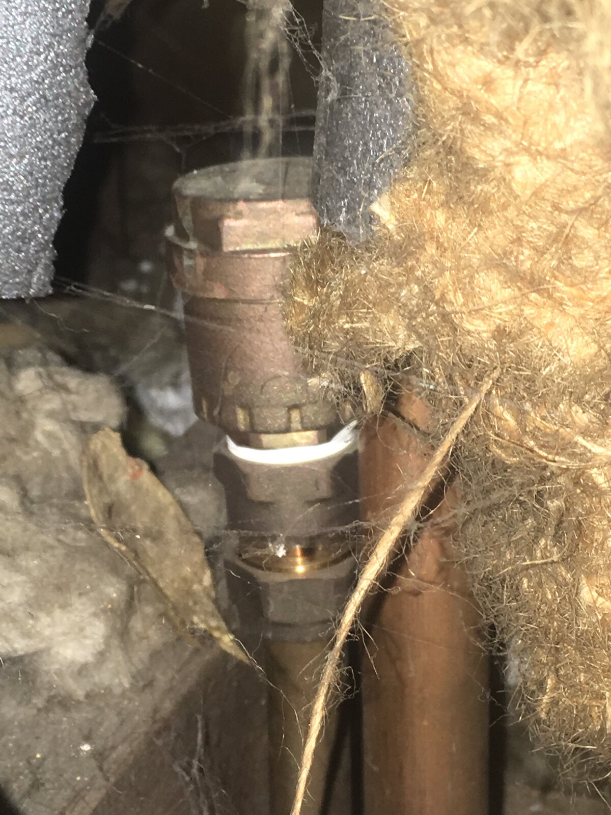 Boiler keeps cutting out after leak & no hot water Page 2 DIYnot Forums
