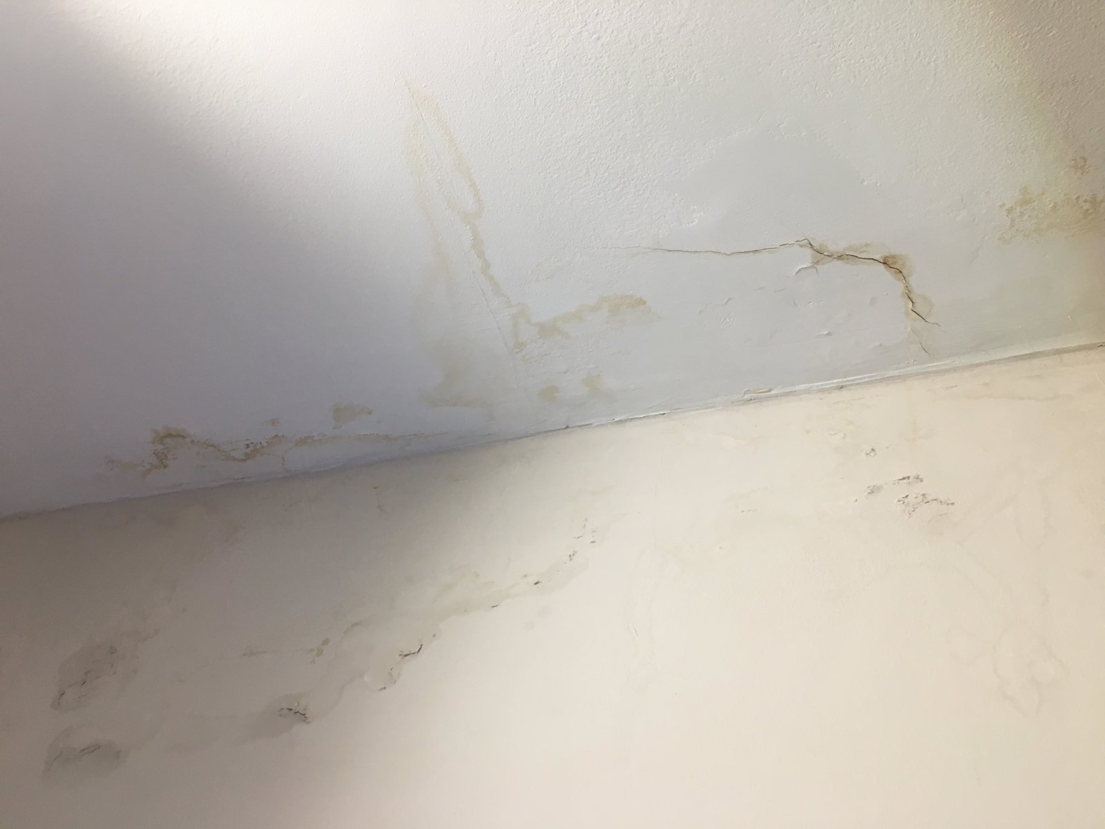 Damp patches what is the best way to paint over DIYnot Forums