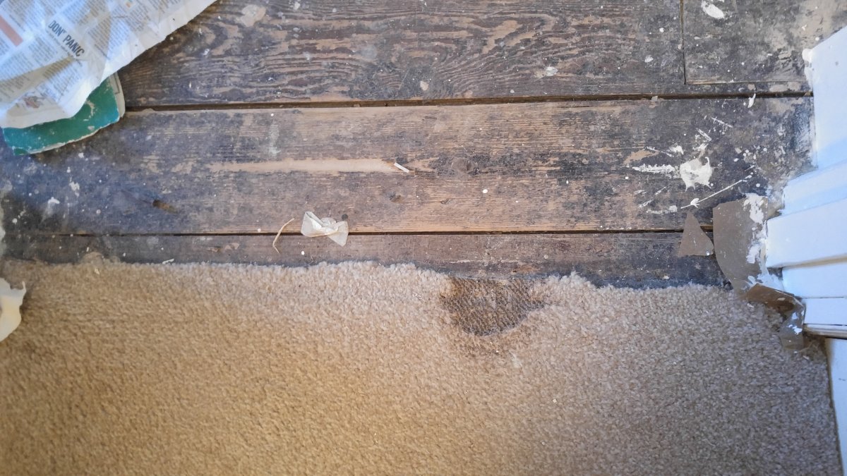 Burnt carpet how to repair DIYnot Forums