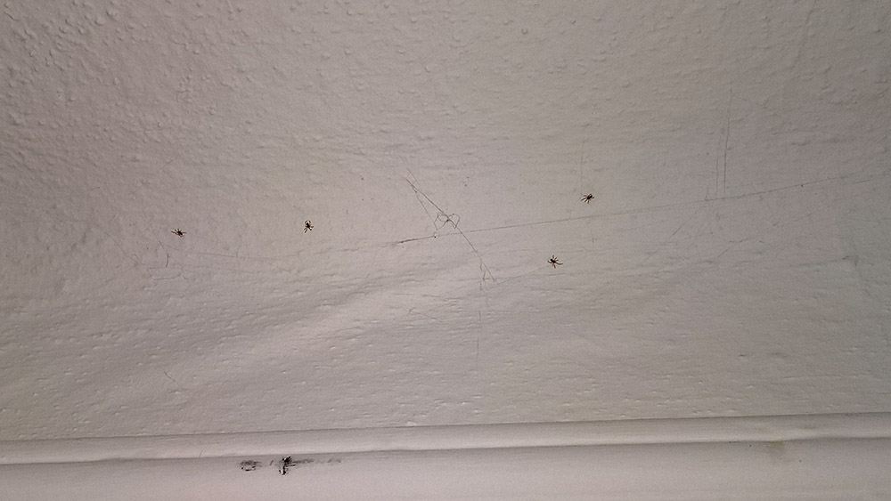 Can anybody tell me if this is Artex on my ceiling? DIYnot Forums