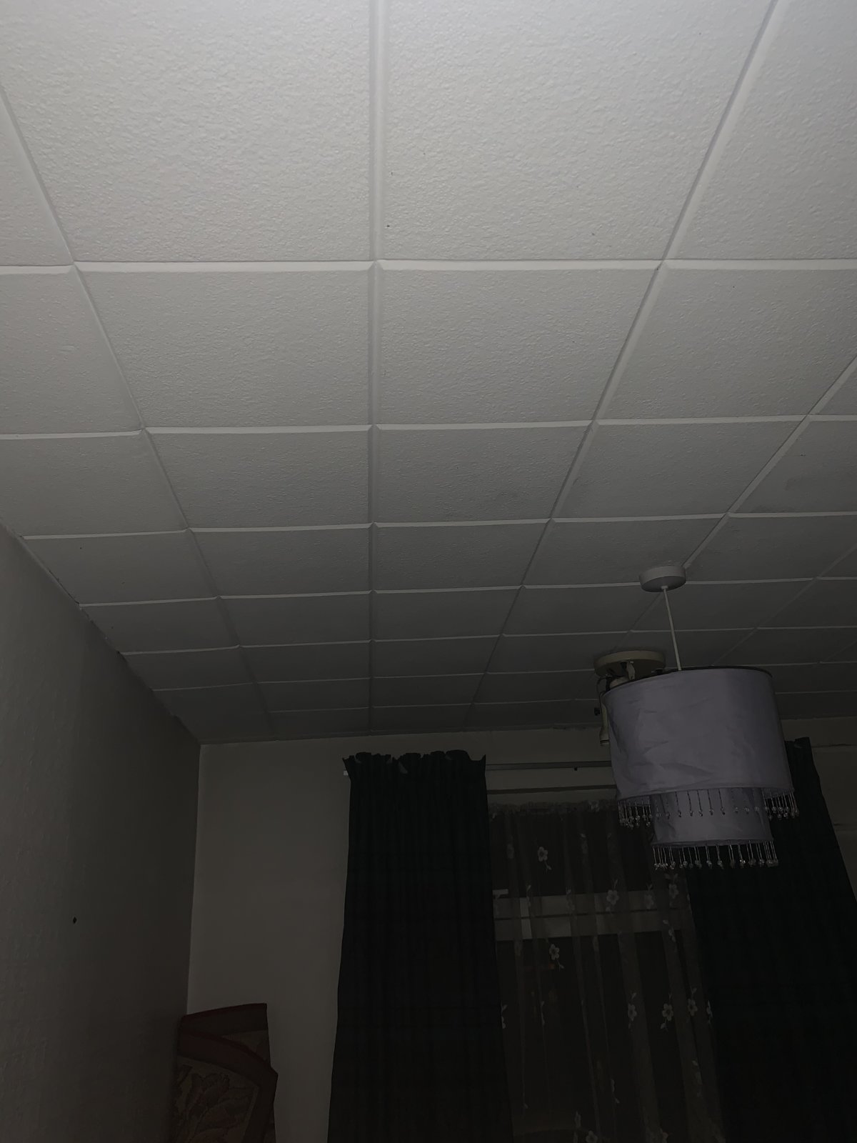 Do Polystyrene Ceiling Tiles Have Asbestos Shelly Lighting