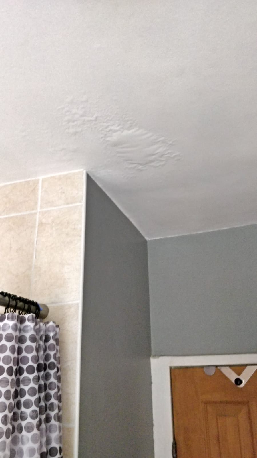 Paint Blisters On Bathroom Ceiling Shelly Lighting