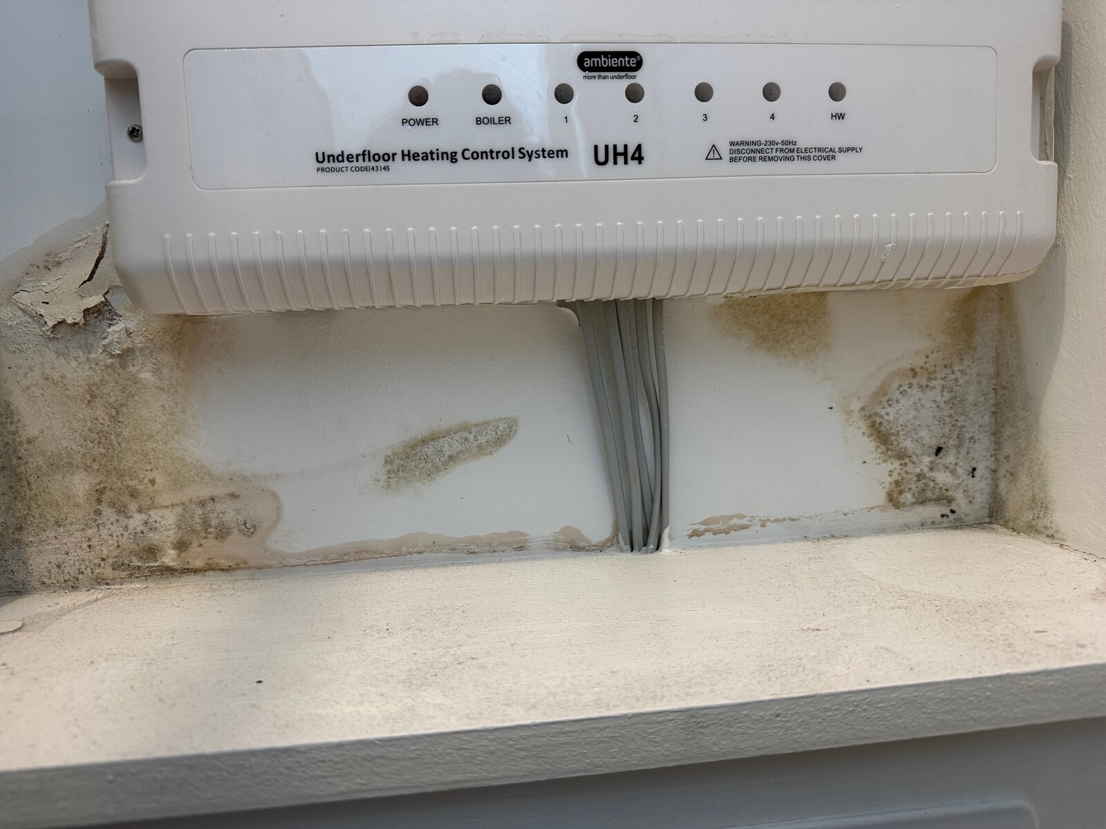 Damp/mould in utility cupboard leak or condensation? DIYnot Forums