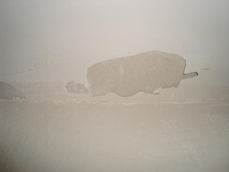Flaking plaster on ceiling DIYnot Forums