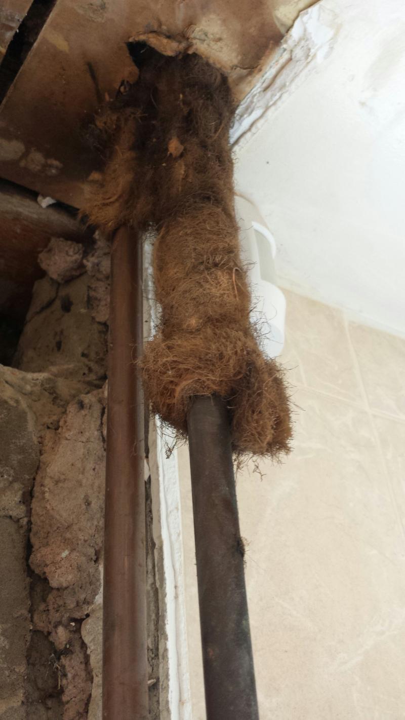 Hot water pipe lagging. Asbestos? DIYnot Forums