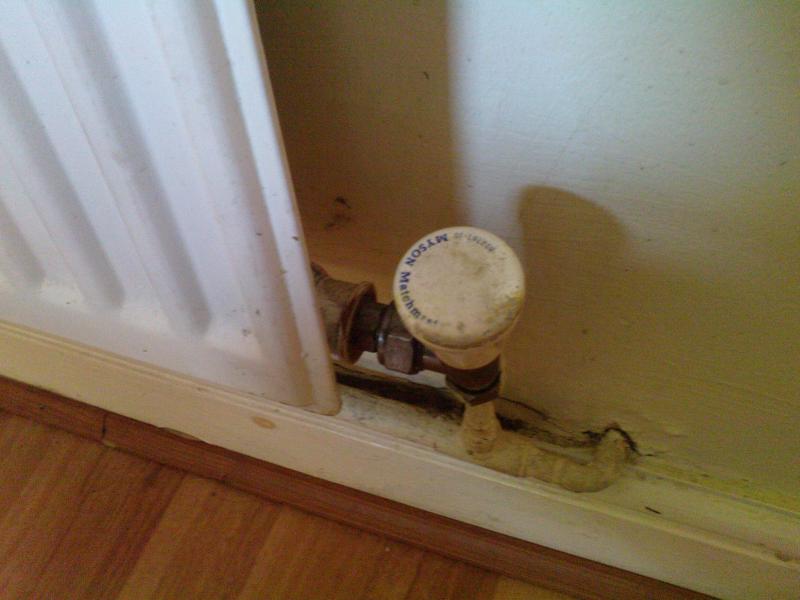 Can I use WD40 on my radiators? DIYnot Forums