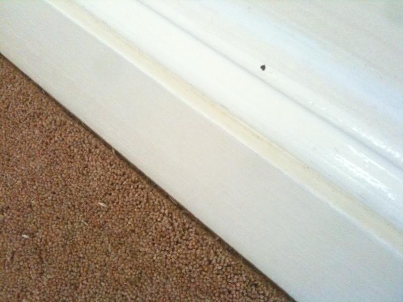 Best way to paint skirting and not the carpet?! DIYnot Forums