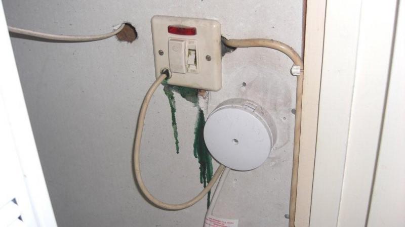 Green slime on cable (ed.) DIYnot Forums