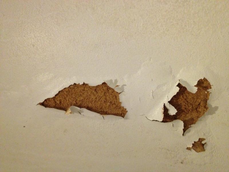 Advice crumbling plaster in bathroom DIYnot Forums