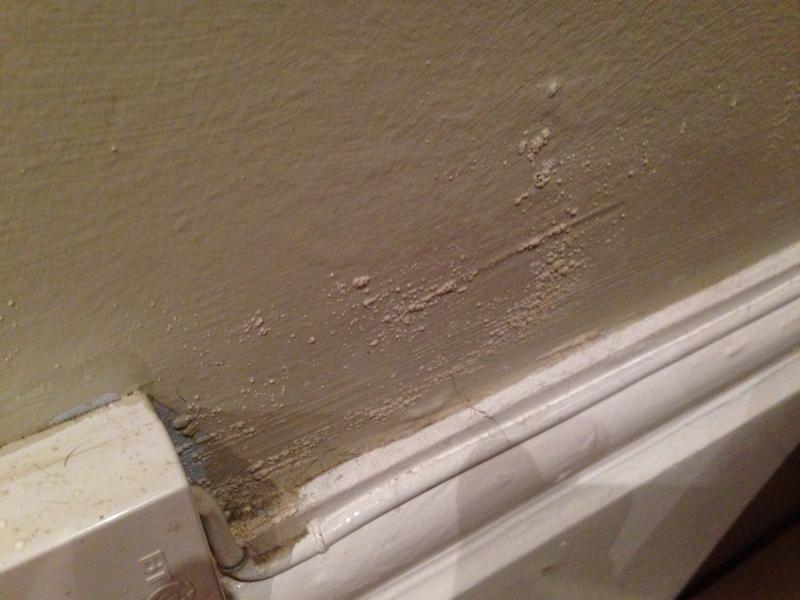 Is this damp? Or condensation? DIYnot Forums